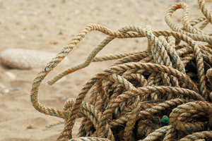 A bundle of thick rope used for fishing washed up on the beach. There is a round rock in the background.